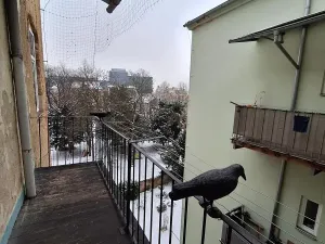 Pronájem bytu 2+kk, Brno, Bezručova, 45 m2