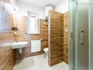 Prodej komerční nemovitosti, Lety, 550 m2