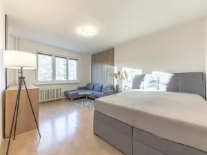 Pronájem bytu 1+1, Praha - Záběhlice, Sasanková, 36 m2