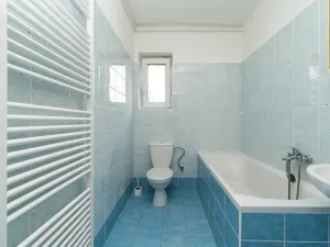 Pronájem bytu 1+1, Ostrava, Newtonova, 45 m2