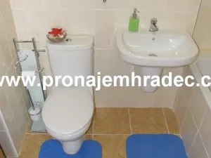 Pronájem bytu 2+kk, Hradec Králové, Kollárova, 56 m2