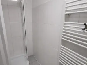 Pronájem bytu 1+1, Praha - Nusle, Družstevní, 38 m2