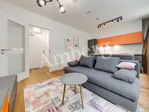 Pronájem bytu 1+kk, Praha - Vinohrady, Perucká, 26 m2