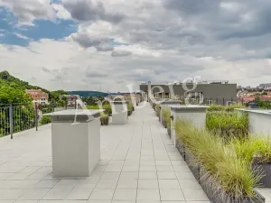 Pronájem bytu 1+kk, Praha - Vinohrady, Perucká, 26 m2