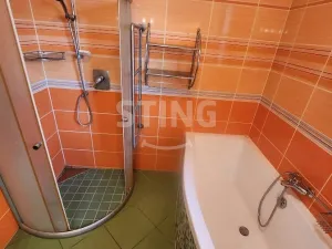 Prodej rodinného domu, Zábeštní Lhota, 174 m2