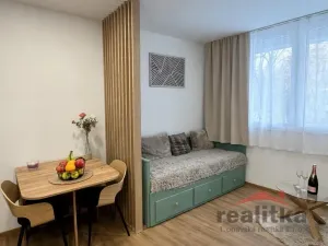 Prodej bytu 1+kk, Opava - Kateřinky, Grudova, 21 m2