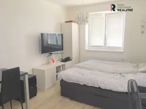 Pronájem bytu 1+kk, Brno - Žebětín, Lišejníková, 29 m2