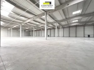 Pronájem výrobních prostor, Most - Čepirohy, Žatecká, 9330 m2