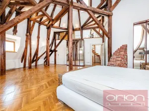 Pronájem bytu 4+1, Praha - Vinohrady, Ibsenova, 305 m2