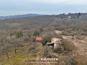 Prodej zahrady, Dolní Kounice, Karlovská, 1166 m2