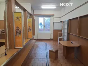 Pronájem skladu, České Budějovice, Pražská tř., 80 m2