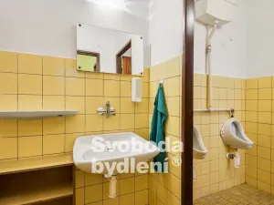 Prodej ubytování, Česká Metuje - Skalka, 386 m2