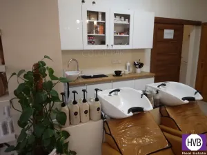 Prodej komerční nemovitosti, Praha, Petrská, 62 m2