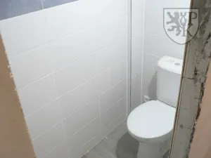 Prodej chalupy, Mladý Smolivec - Dožice, 380 m2