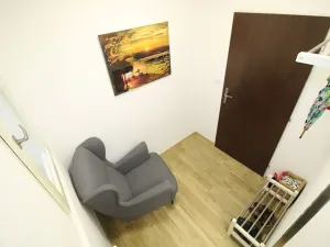 Pronájem bytu 1+kk, Praha - Nové Město, Opletalova, 35 m2