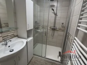 Pronájem bytu 1+1, Opava - Předměstí, Zámecký okruh, 38 m2