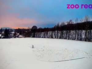 Prodej pozemku pro bydlení, Zdíkov, 2561 m2