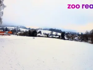 Prodej pozemku pro bydlení, Zdíkov, 2561 m2