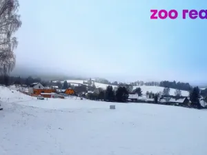 Prodej pozemku pro bydlení, Zdíkov, 2561 m2