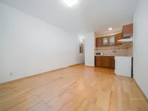 Prodej bytu 1+kk, Ostrava - Moravská Ostrava, U Parku, 32 m2