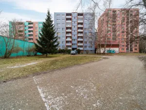 Prodej bytu 1+kk, Ostrava - Moravská Ostrava, U Parku, 32 m2