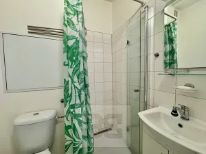 Pronájem bytu 1+1, Brno, Haškova, 30 m2