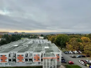 Pronájem bytu 1+1, Brno, Haškova, 30 m2