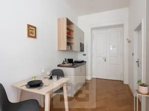 Prodej bytu 2+1, Praha - Nové Město, Ve Smečkách, 66 m2