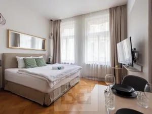 Prodej bytu 2+1, Praha - Nové Město, Ve Smečkách, 66 m2