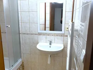 Pronájem bytu 1+kk, Slaný, Palackého, 25 m2