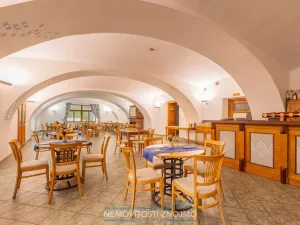 Prodej ubytování, Vranov nad Dyjí, 8. května, 911 m2