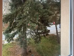 Prodej bytu 1+kk, Karlovy Vary, Lidická, 20 m2