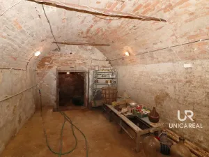 Prodej rodinného domu, Rakvice, 189 m2