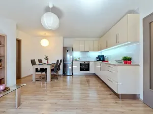 Pronájem bytu 2+kk, Brno, Cejl, 58 m2