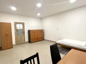 Pronájem bytu 1+1, Ostrava, Tavičská, 33 m2