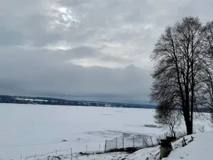 Prodej chaty, Cheb - Dřenice, 60 m2