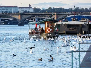 Prodej bytu 1+kk, Praha - Nusle, Bělehradská, 52 m2