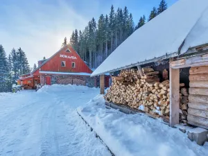 Prodej chalupy, Vítkovice, 500 m2