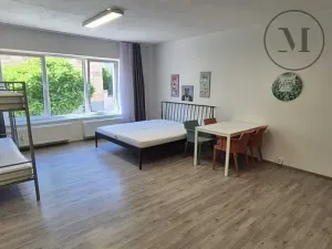 Pronájem bytu 1+kk, České Budějovice, Skuherského, 45 m2