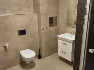 Pronájem bytu 1+kk, České Budějovice, Skuherského, 45 m2