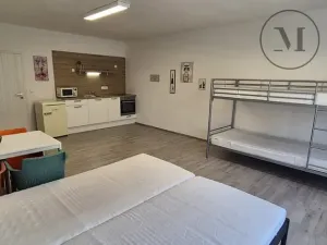 Pronájem bytu 1+kk, České Budějovice, Skuherského, 45 m2