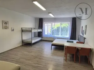 Pronájem bytu 1+kk, České Budějovice, Skuherského, 45 m2