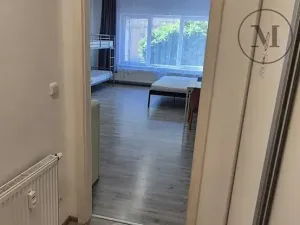 Pronájem bytu 1+kk, České Budějovice, Skuherského, 45 m2