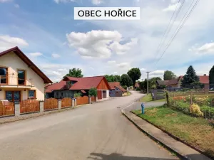 Prodej pozemku pro bydlení, Dolní Hořice, 9850 m2