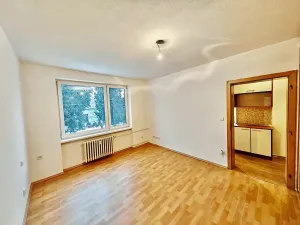 Prodej bytu 2+1, Telč, U Štěpnického rybníka, 47 m2