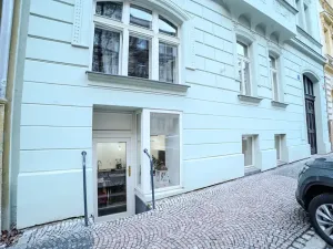 Pronájem obchodního prostoru, Praha - Vinohrady, Řipská, 92 m2