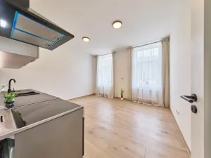 Prodej bytu 2+kk, Trutnov - Horní Staré Město, Horská, 45 m2