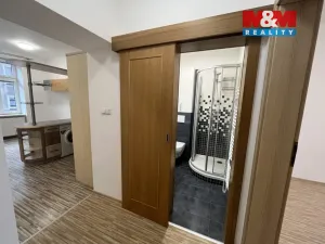Pronájem bytu 1+1, Český Těšín, Smetanova, 47 m2