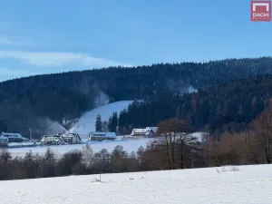 Prodej komerční nemovitosti, Červená Voda, 85 m2