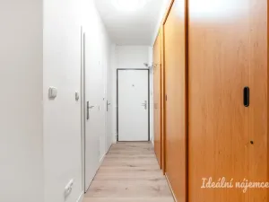 Pronájem bytu 2+1, Praha - Žižkov, Na Balkáně, 50 m2